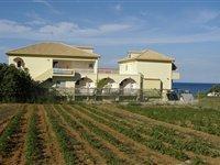 Drosia Beach Kypseli Екстериор снимка